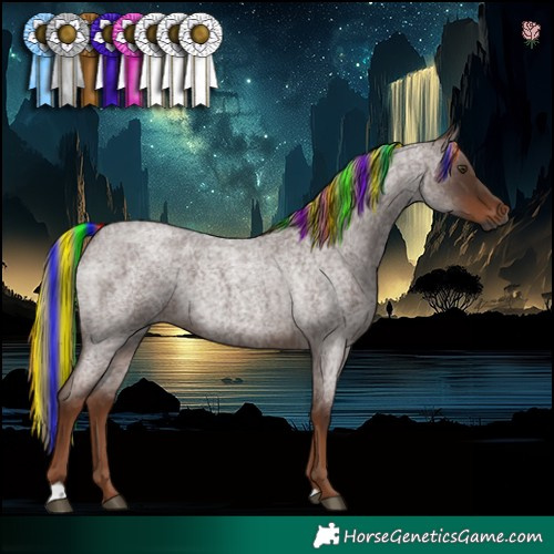 Horse Color:Gray Painted Red Roan 