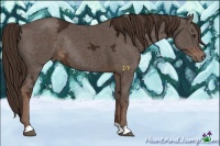 Horse Color:Liver Chestnut Ice Rabicano