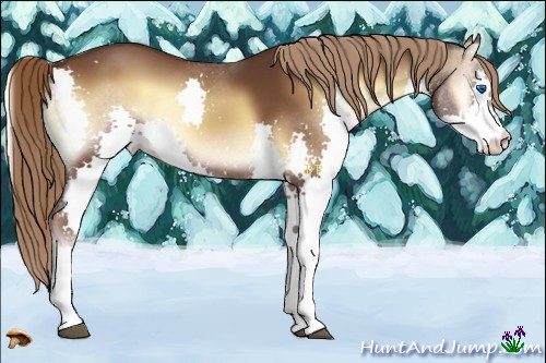 Horse Color:Liver Red Onyx Splash