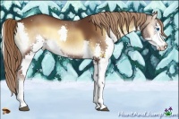 Horse Color:Liver Red Onyx Splash