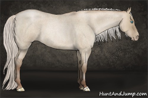 Horse Color:Gray Silver Smoky Grullo Roan Pearl 