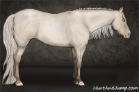 Horse Color:Gray Silver Smoky Grullo Roan Pearl 