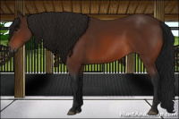 Horse Color:Gray Bay 