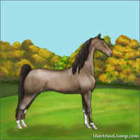Horse Color:Gray Smoky Black Pearl Varnish