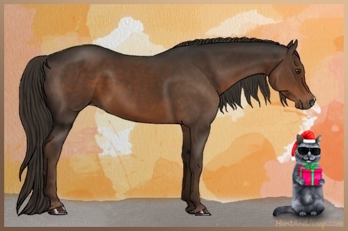 Horse Color:Liver Chestnut 