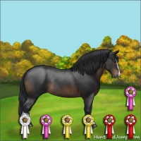 Horse Color:Brown Sabino Rabicano