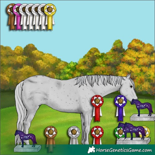 Horse Color:ERROR: UNKNOWN ANOMALY