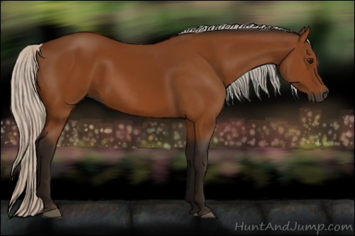 Horse Color:Gray Silver Bay