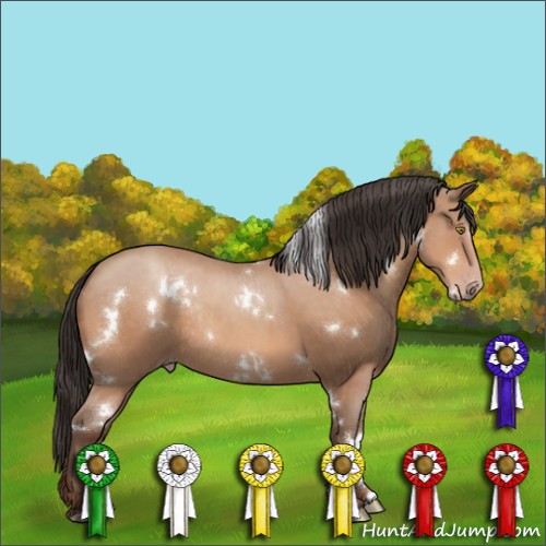 Horse Color:White Spotted Sable Champagne Rabicano 