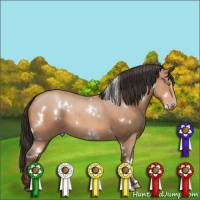 Horse Color:White Spotted Sable Champagne Rabicano 
