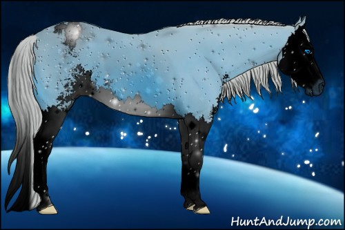 Horse Color:ERROR: UNKNOWN ANOMALY