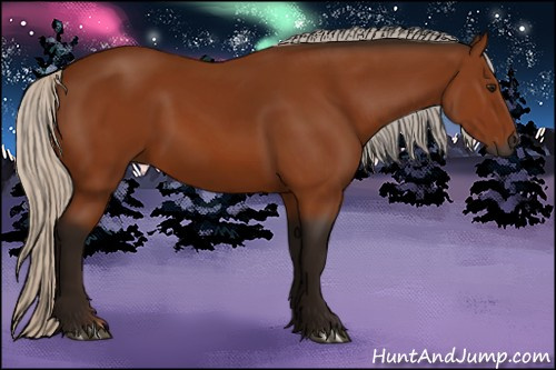 Horse Color:Gray Silver Bay