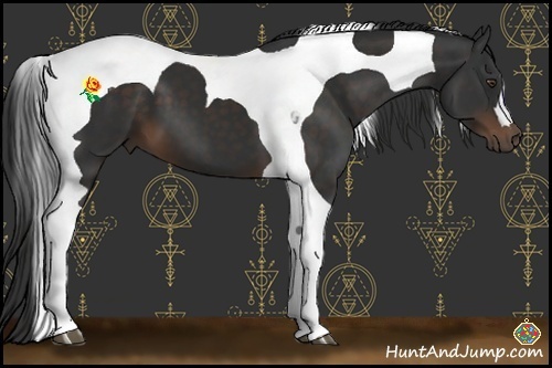 Horse Color:Liver Chestnut Tobiano 