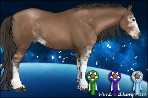 Horse Color:Gray Black Pearl Sabino 