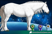Horse Color:Gray Black Pearl Sabino