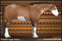 Horse Color:Gray Bay Pearl Sabino