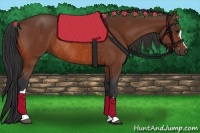 Horse Color:Bay Rabicano 