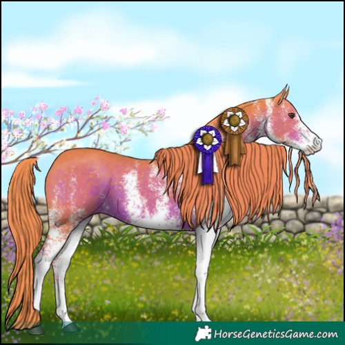 Horse Color:Watercolor White Spotted Liver Chestnut Rabicano 
