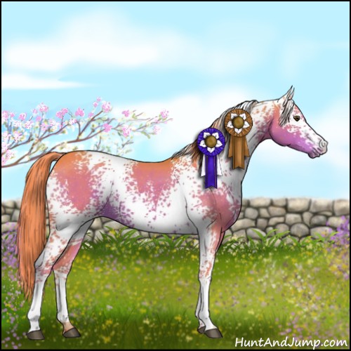 Horse Color:Watercolor White Spotted Liver Chestnut Rabicano 