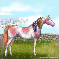 Horse Color:Watercolor White Spotted Liver Chestnut Rabicano 