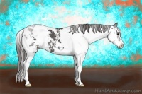 Horse Color:Smoky Black Sabino Varnish Rabicano 