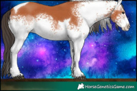 Horse Color:White Spotted Brown Tobiano 