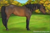 Horse Color:Brown 