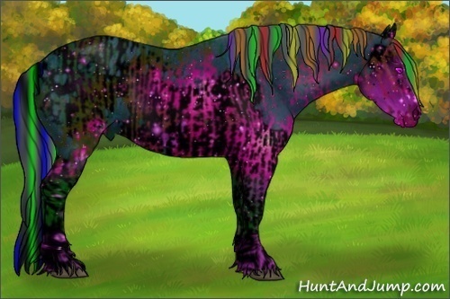 Horse Color:ERROR: UNKNOWN ANOMALY and ERROR: UNKNOWN ANOMALY