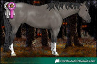 Horse Color:Grullo