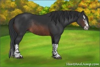Horse Color:Brown Rabicano and Brown Splash Rabicano