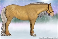 Horse Color:Silver Classic Cream Champagne 