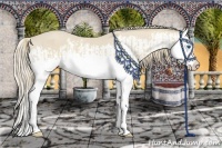 Horse Color:Smoky Creme Splash  and Smoky Creme Splash 