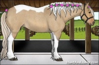 Horse Color:Silver Bay Roan Dun Tobiano 