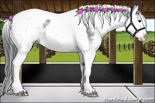 Horse Color:White Spotted Black Splash Tobiano