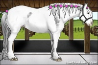 Horse Color:White Spotted Black Splash Tobiano