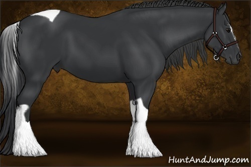 Horse Color:Black Sabino Tobiano 