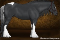 Horse Color:Black Sabino Tobiano