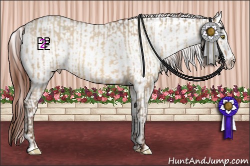 Horse Color:Sable Champagne Dun Appaloosa  and Sable Champagne Dun Splash Appaloosa 