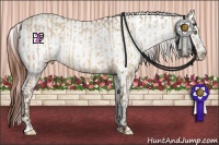 Horse Color:Sable Champagne Dun Appaloosa  and Sable Champagne Dun Splash Appaloosa 