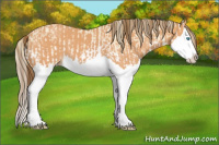Horse Color:Perlino Splash and Gray Perlino Splash