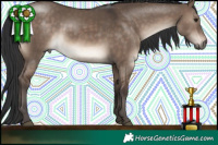 Horse Color:Brown Dun 