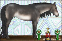 Horse Color:Brown Dun