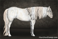 Horse Color:White Spotted Perlino Dun Blanket 