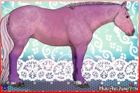 Horse Color:Watercolor Silver Black Rabicano
