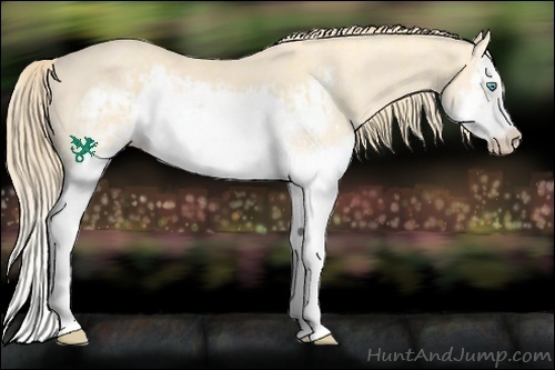 Horse Color:Perlino Splash  and Perlino Splash Frame 