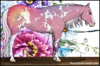Horse Color:Watercolor White Spotted Silver Grullo Sabino 