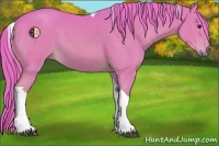 Horse Color:Watercolor Chestnut Tobiano 