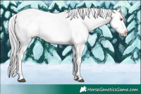 Horse Color:Brown Chinchilla Sabino Splash Blanket Rabicano