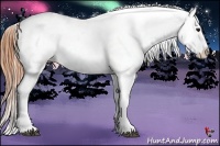 Horse Color:Buckskin Roan Blanket