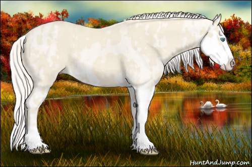 Horse Color:Cremello Splash  and Cremello Dun Splash 